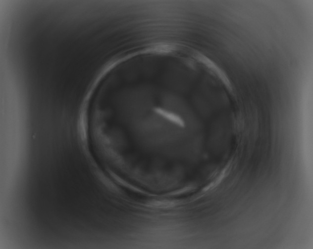 X0000100921083200807081146