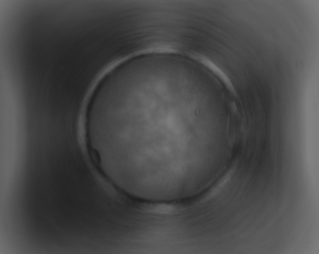 X0000100921085200807081146