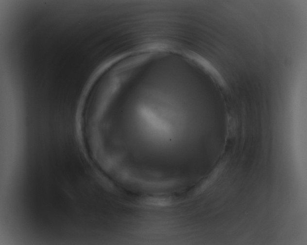 X0000100921086200807081145