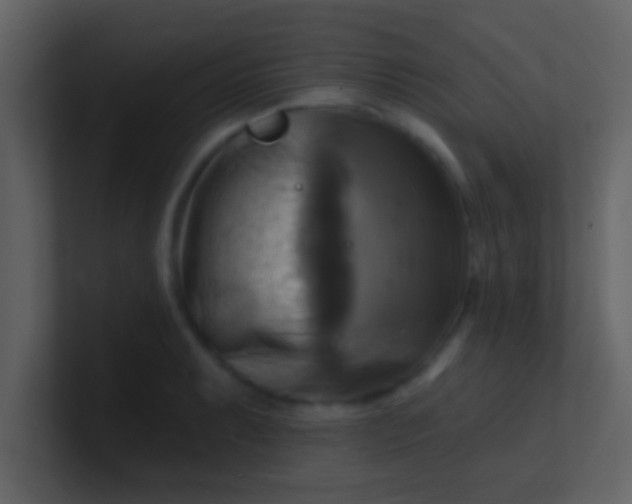 X0000100921087200807081145