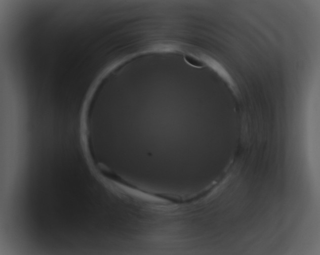 X0000100921088200807081145