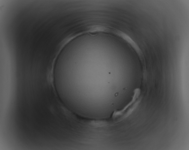 X0000100921089200807081145