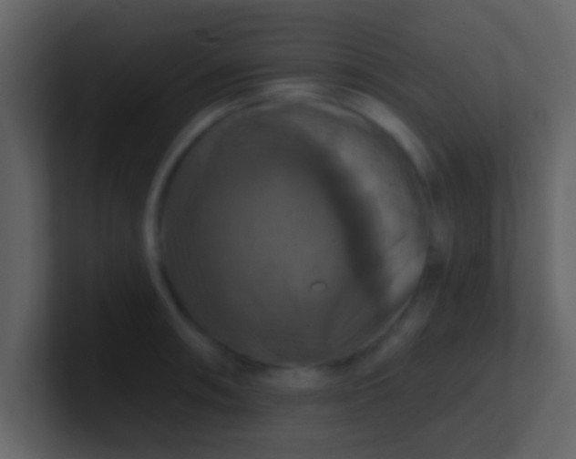 X0000100921090200807081145