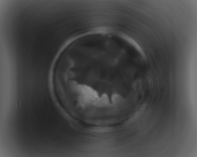 X0000100921091200807081145