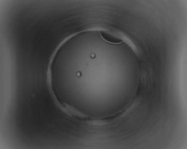 X0000100921092200807081145