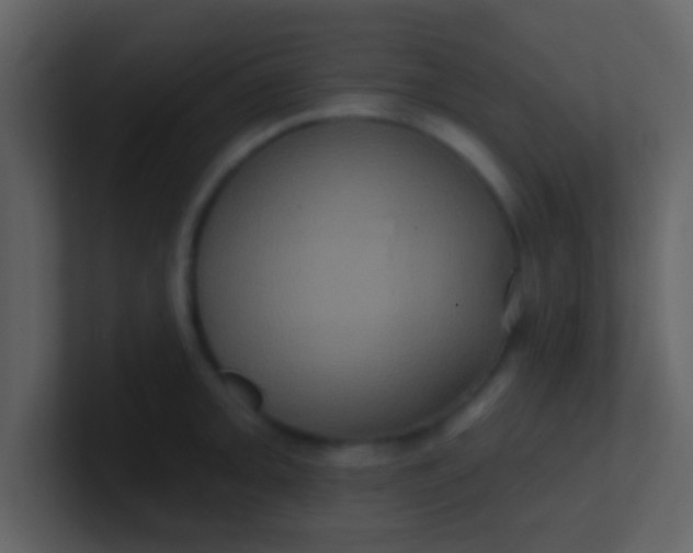 X0000100921093200807081145