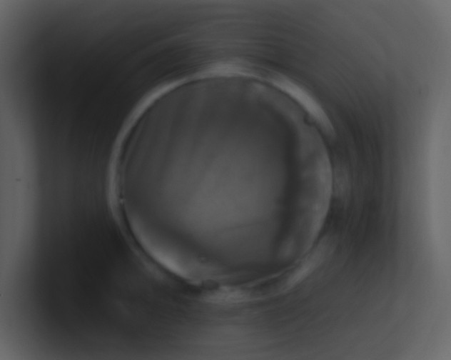 X0000100921094200807081145