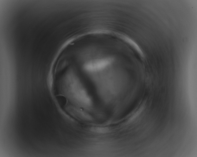 X0000100921095200807081145