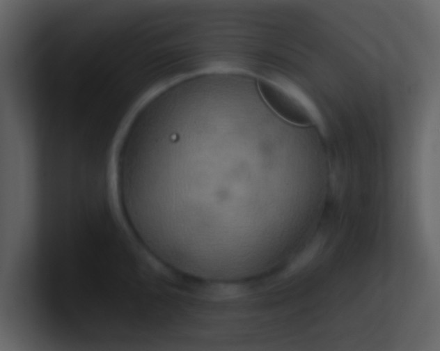 X0000100921096200807081145