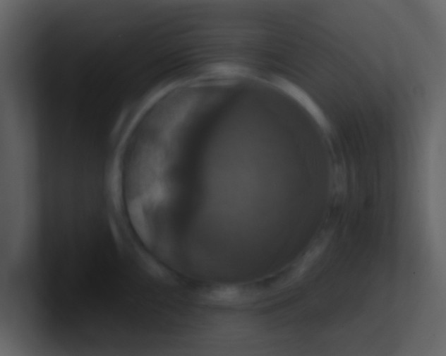 X0000100921098200807081145