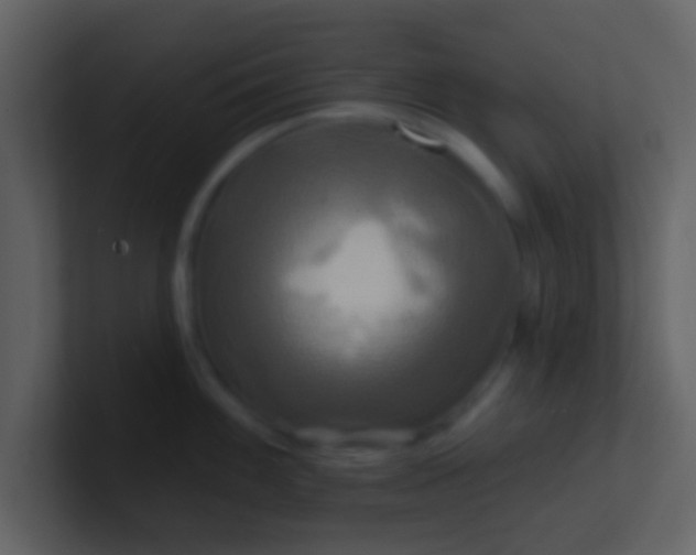 X0000100921100200807081145