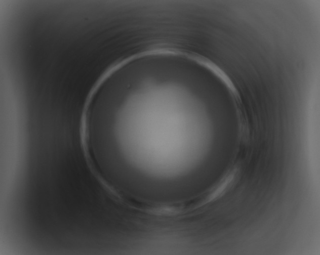 X0000100921101200807081145