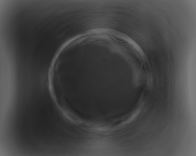 X0000100921102200807081145