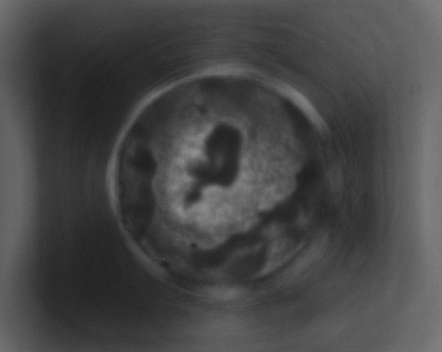 X0000100921103200807081145