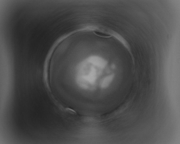 X0000100921104200807081145