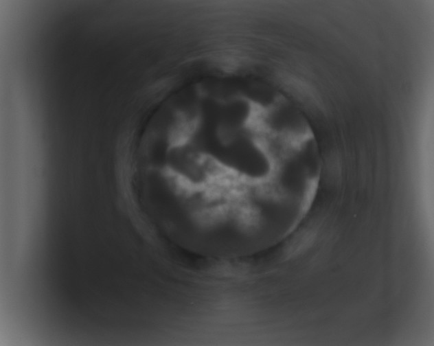 X0000100921105200807081145