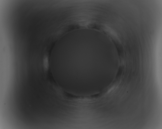 X0000100921106200807081145