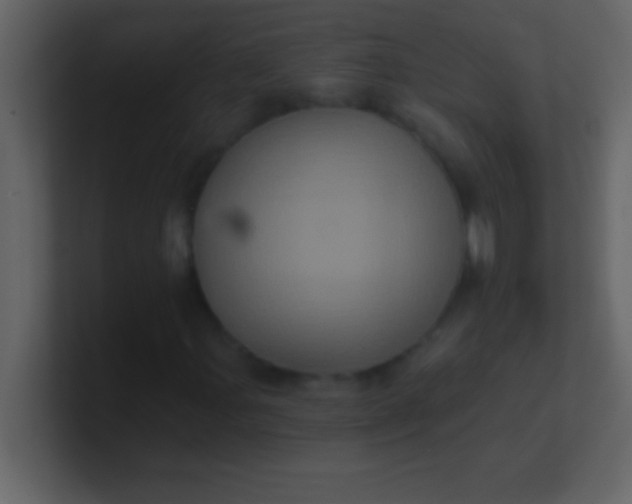 X0000100921107200807081145