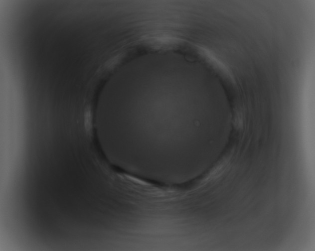 X0000100921108200807081145