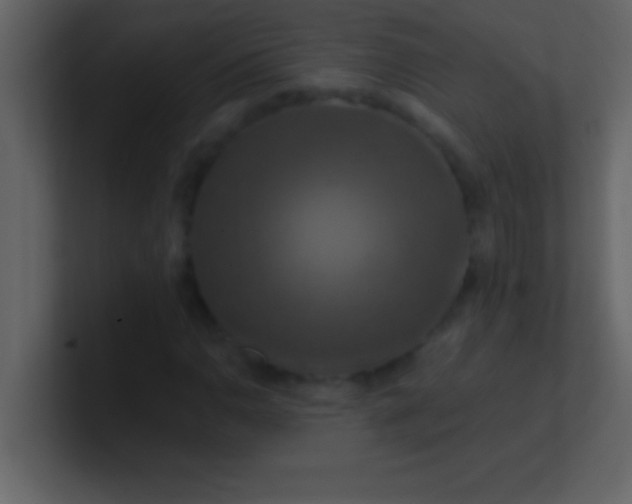 X0000100921110200807081145