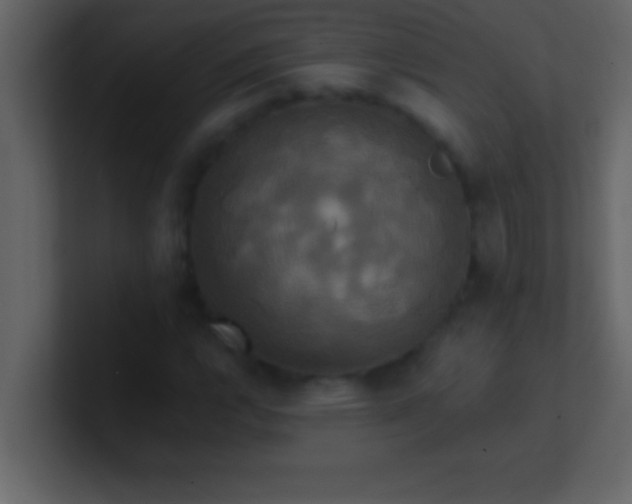 X0000100921112200807081145