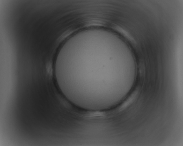 X0000100921113200807081145