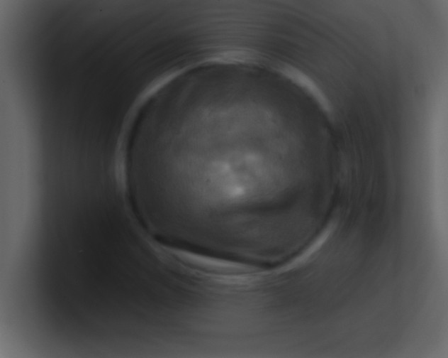 X0000100921114200807081145