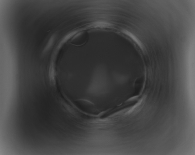 X0000100921115200807081145