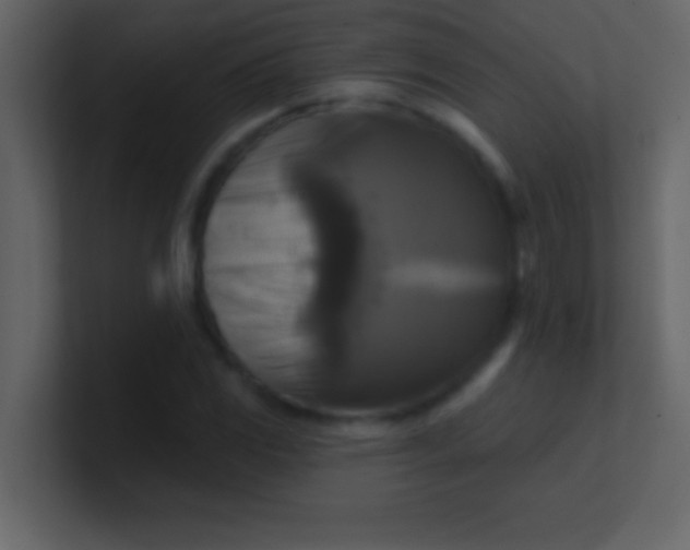 X0000100921117200807081145