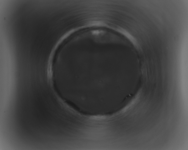 X0000100921118200807081145