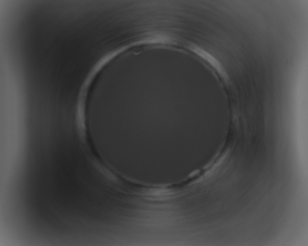 X0000100921120200807081145