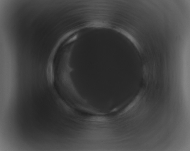 X0000100921123200807081145