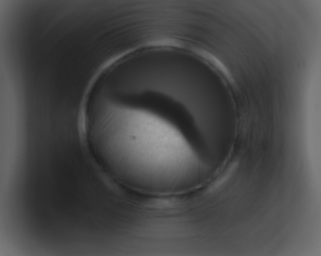 X0000100921125200807081145