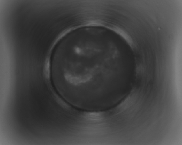 X0000100921126200807081145