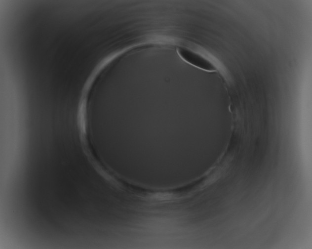 X0000100921128200807081145