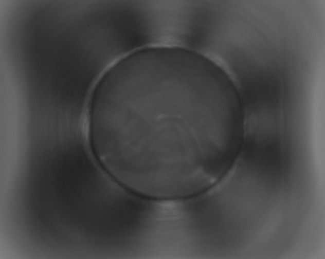 X0000100921130200807081145