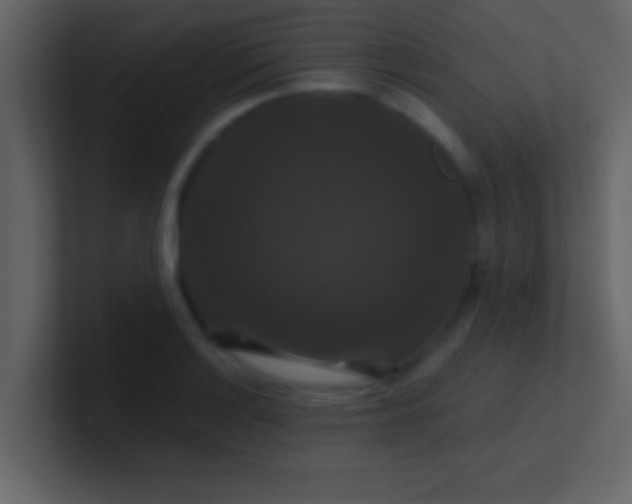 X0000100921132200807081145