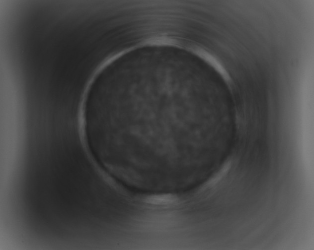 X0000100921133200807081145