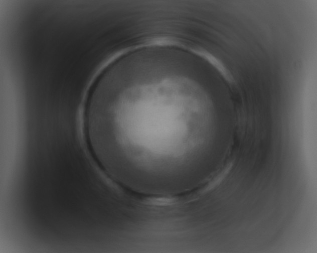 X0000100921134200807081145