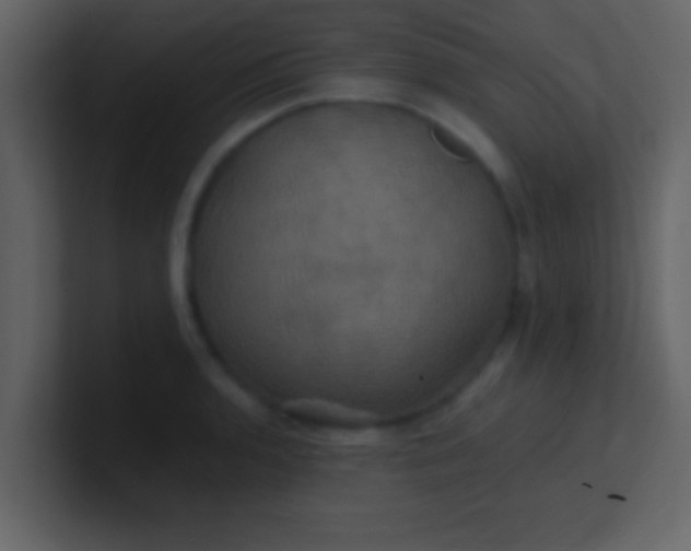 X0000100921136200807081145