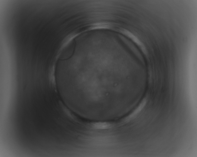 X0000100921137200807081145