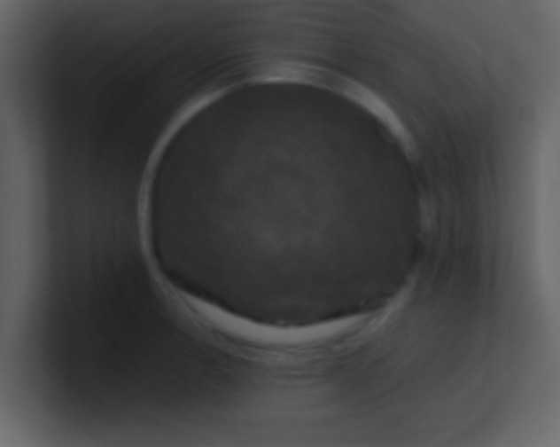 X0000100921138200807081145