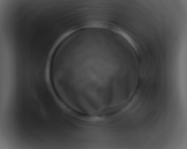 X0000100921139200807081145