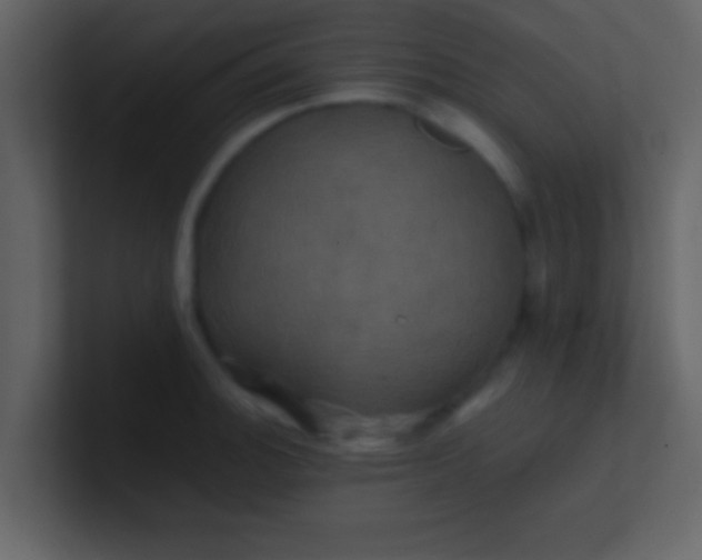 X0000100921140200807081145