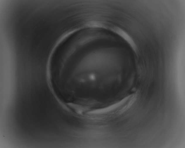 X0000100921141200807081145