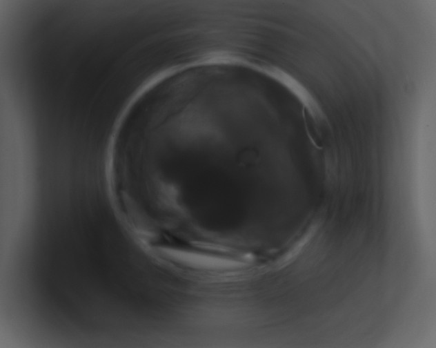 X0000100921142200807081145