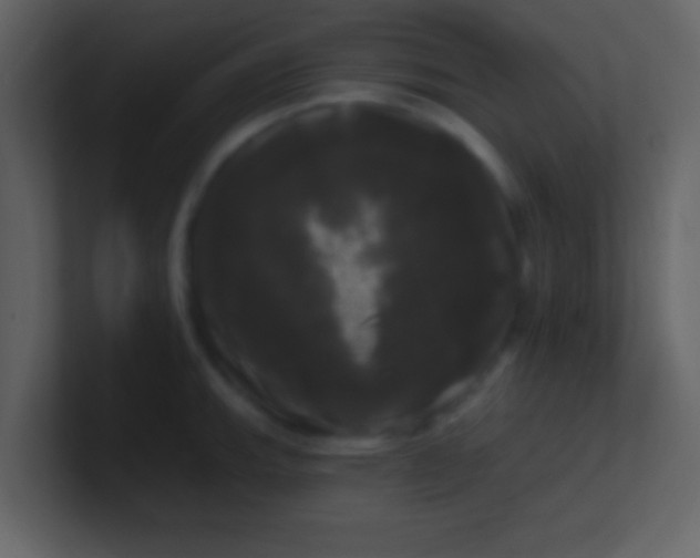 X0000100921143200807081145