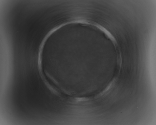 X0000100921144200807081145