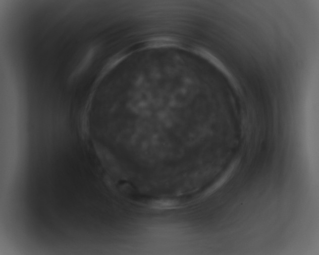 X0000100921145200807081145