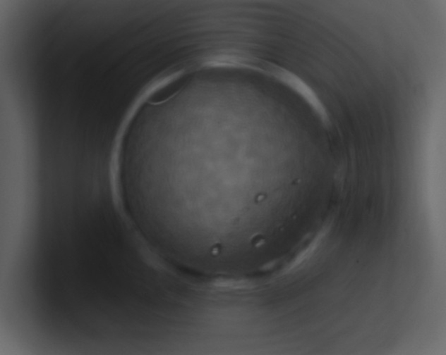 X0000100921146200807081145